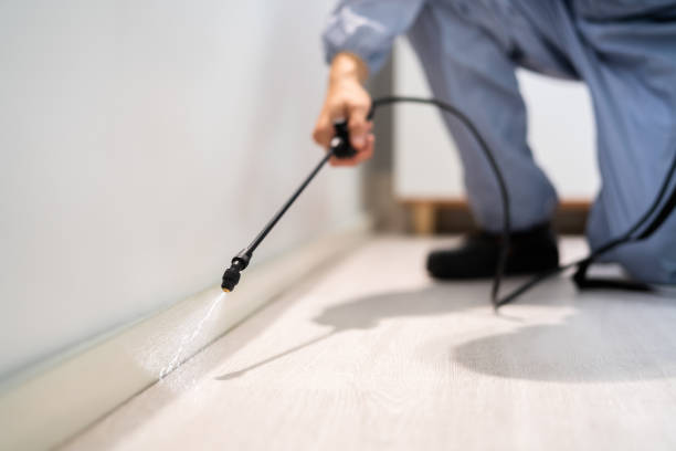 Bed Bug Pre-Treatment Preparation Assessment in The Village of Indian Hill