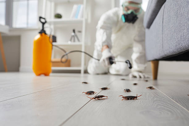 Post-Treatment Bed Bug Interceptor Monitoring in The Village of Indian Hill